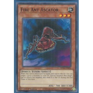 SDCK-EN020 Fire Ant Ascator – Common